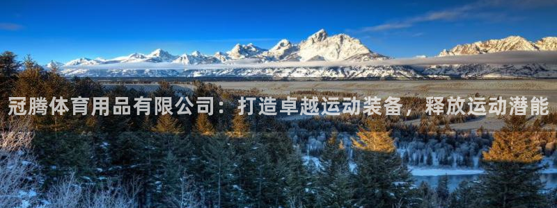 欧陆娱乐怎么注册会员：冠腾体育用品有限公司：打造卓越