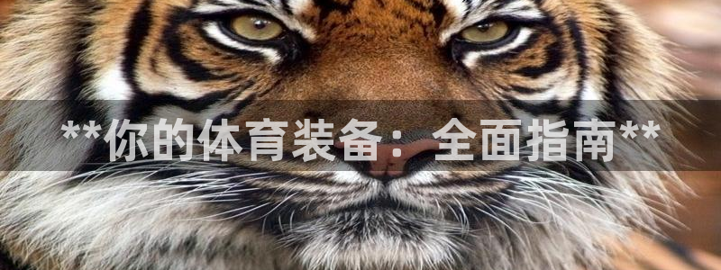 欧陆娱乐怎么注册账号：**你的体育装备：全面指南**