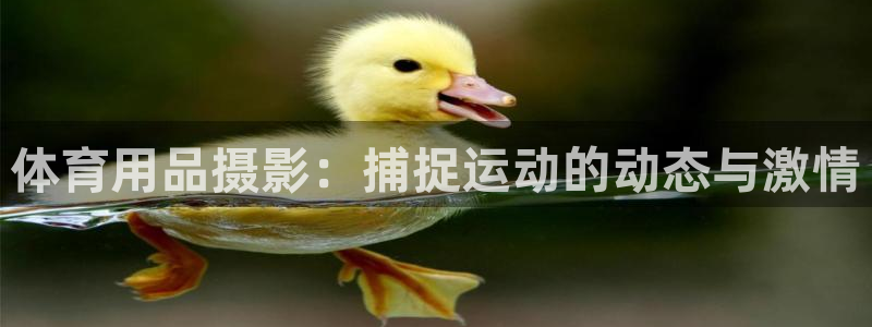 欧陆娱乐登录注册平台有哪些：体育用品摄影：捕捉运动的