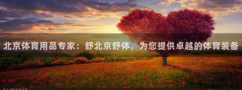 重庆欧陆娱乐有限公司电话：北京体育用品专家：舒北京舒