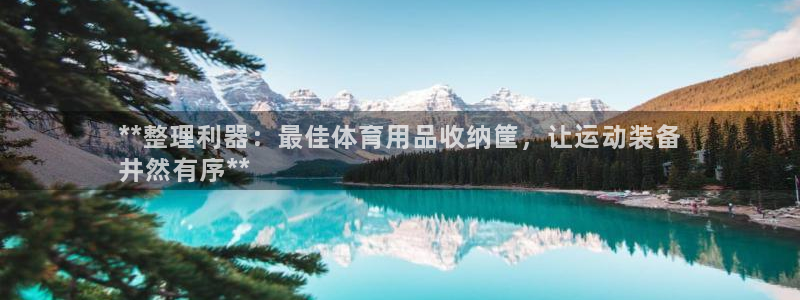 欧陆娱乐会员多少钱：**整理利器：最佳体育用品收纳筐