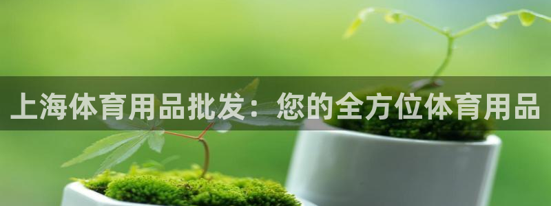 欧陆娱乐官网注册中心下载：上海体育用品批发：您的全方