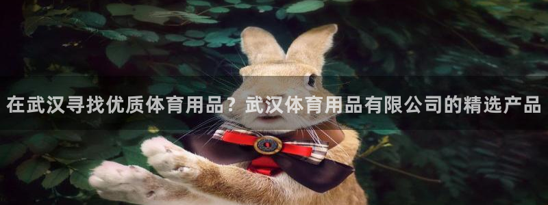 欧陆娱乐平台咋样啊：在武汉寻找优质体育用品？武汉体育
