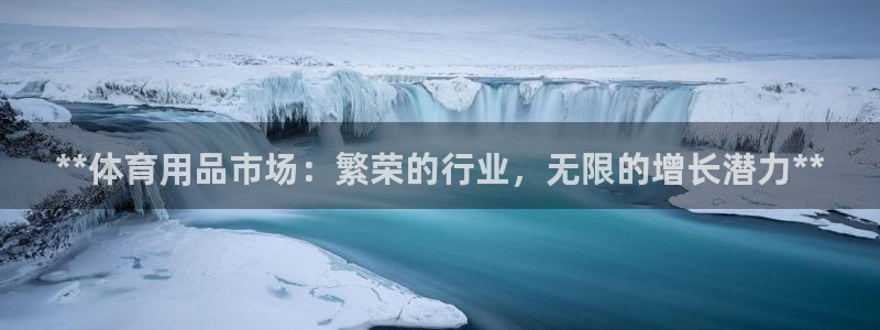 欧陆娱乐怎么注册会员的：**体育用品市场：繁荣的行业