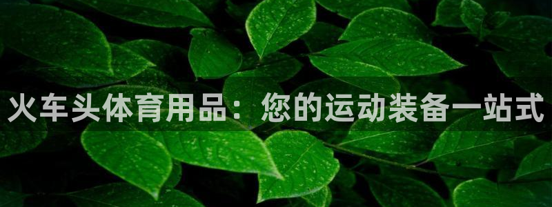 欧陆娱乐有限公司