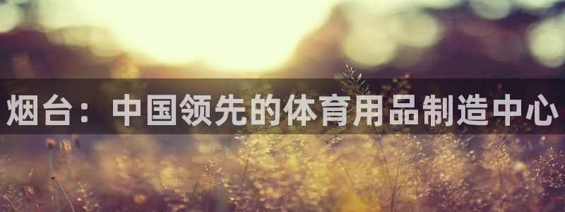 欧陆娱乐是那个旗下的品牌：烟台：中国领先的体育用品制