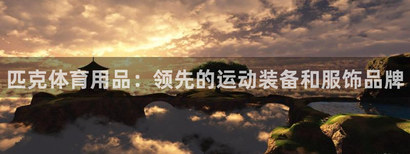欧陆娱乐代理多少个点位啊：匹克体育用品：领先的运动装