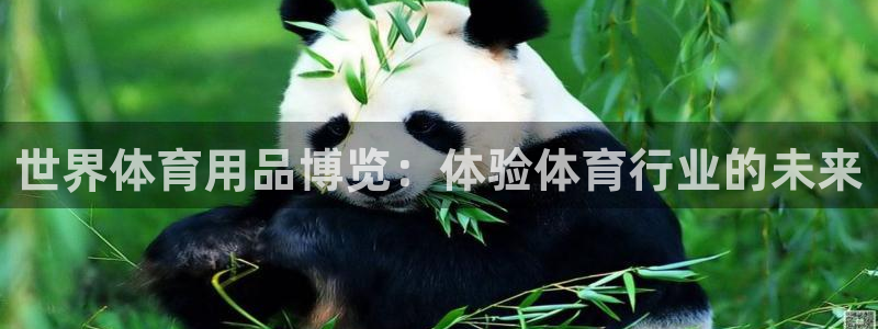 欧陆论坛