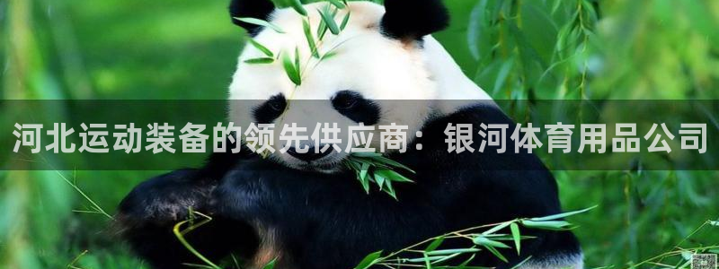 欧陆娱乐登录平台官网：河北运动装备的领先供应商：银河
