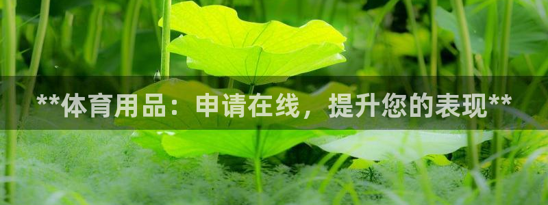 欧陆娱乐提现多久到账：**体育用品：申请在线，提升您