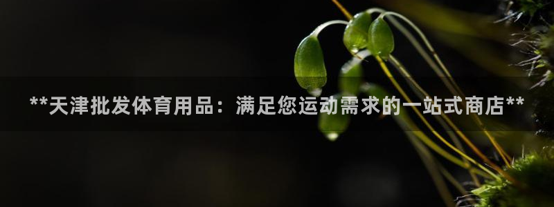 欧陆娱乐登陆平台官网：**天津批发体育用品：满足您运
