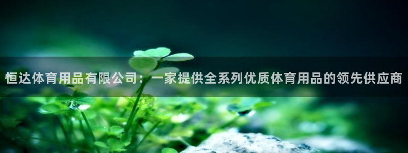 欧陆娱乐游戏：恒达体育用品有限公司：一家提供全系列优