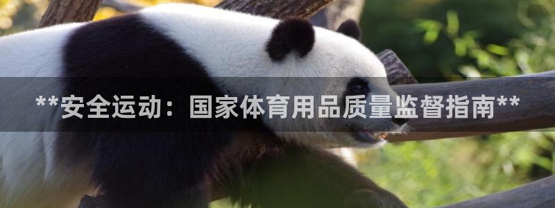 欧陆娱乐有限公司招聘：**安全运动：国家体育用品质量