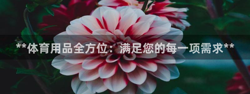 欧陆商城：**体育用品全方位：满足您的每一项需求**