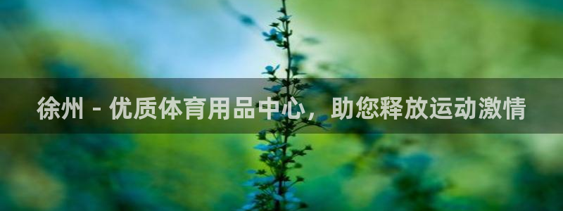 欧陆娱乐会员有什么用：徐州 - 优质体育用品中心，助