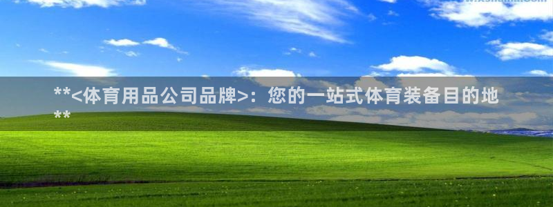 欧陆娱乐是正规吗?：**<体育用品公司品牌>：您的一