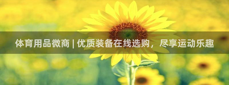 欧陆娱乐共创美好：体育用品微商 | 优质装备在线选购