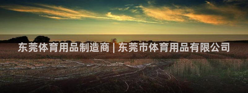欧陆娱乐是真的吗：东莞体育用品制造商 | 东莞市体育