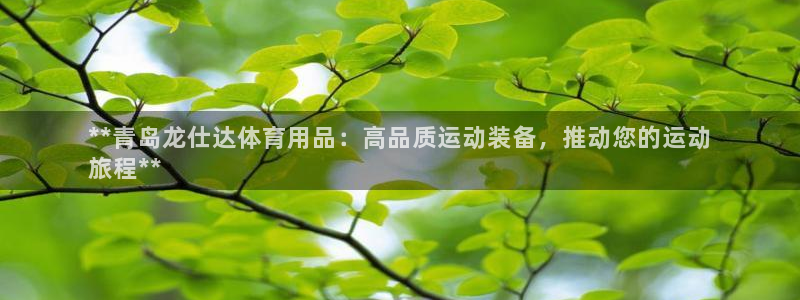 欧陆娱乐官网首页入口：**青岛龙仕达体育用品：高品质