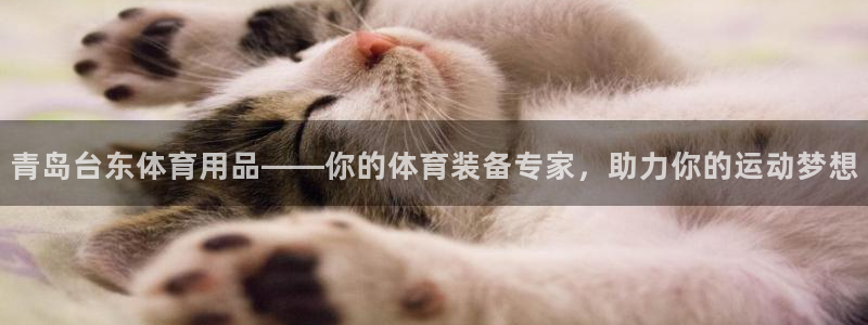 欧陆娱乐登录测速网站：青岛台东体育用品——你的体育装