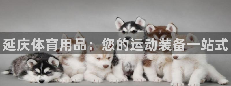 欧陆娱乐能提现嘛现在：延庆体育用品：您的运动装备一站