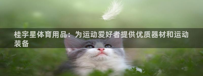 欧陆娱乐登录官网网址：桂宇星体育用品：为运动爱好者提供优质器