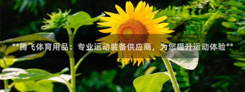 欧陆娱乐微信众：**腾飞体育用品：专业运动装备供应商