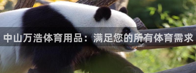 欧陆商城：中山万浩体育用品：满足您的所有体育需求