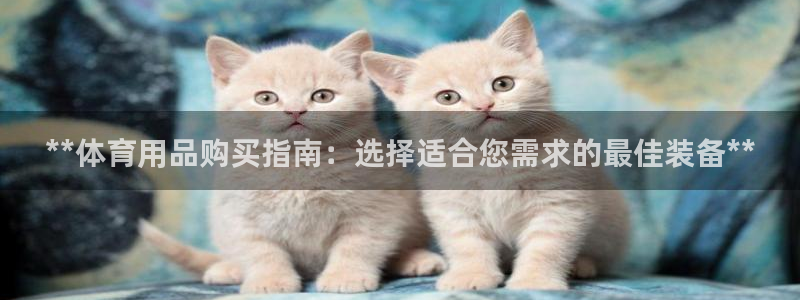 欧陆娱乐注册代理：**体育用品购买指南：选择适合您需