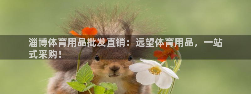 欧陆娱乐信誉吗：淄博体育用品批发直销：远望体育用品，