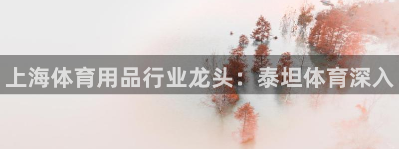 欧陆娱乐是什么：上海体育用品行业龙头：泰坦体育深入