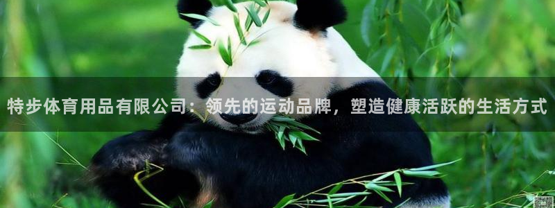 欧陆娱乐平台登录不上去了：特步体育用品有限公司：领先