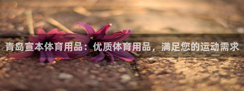 欧陆娱乐群里怎么进：青岛宣本体育用品：优质体育用品，