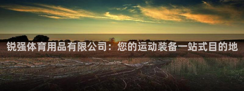 欧陆娱乐官网入口下载：锐强体育用品有限公司：您的运动