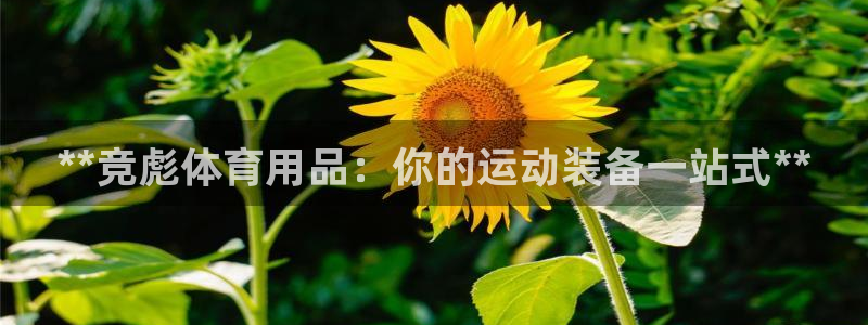 欧陆娱乐官网下载安装最新版苹果