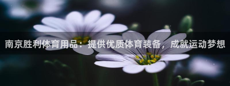 欧陆娱乐测速网站：南京胜利体育用品：提供优质体育装备