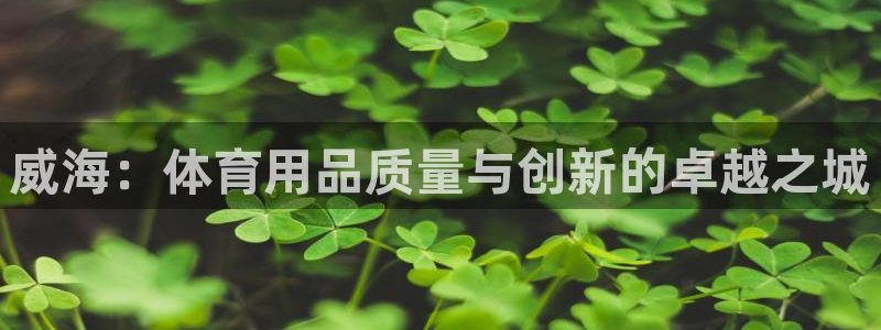 欧陆娱乐平台登陆地址是什么样的：威海：体育用品质量与创新的卓