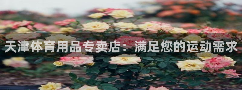 欧陆娱乐官网入口下载