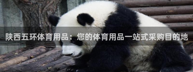 欧陆娱乐的故事：陕西五环体育用品：您的体育用品一站式采购目的