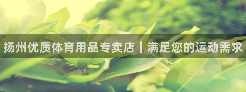 欧陆娱乐登录测速：扬州优质体育用品专卖店｜满足您的运动需求