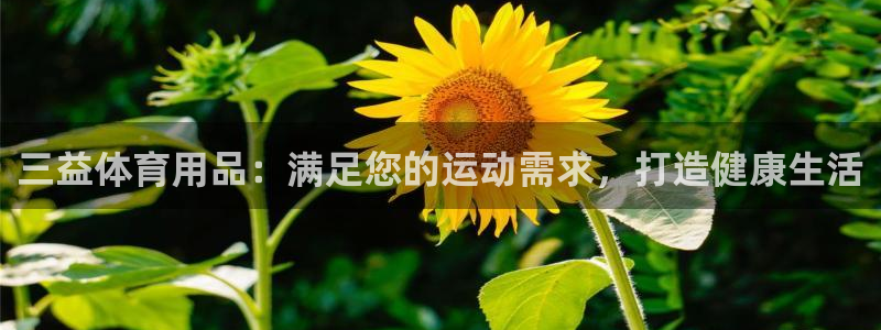 欧陆娱乐注册链接安全吗知乎：三益体育用品：满足您的运