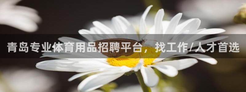 欧陆娱乐注册平台：青岛专业体育用品招聘平台，找工作/