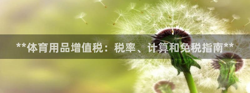 欧陆娱乐登录平台：**体育用品增值税：税率、计算和免税指南*