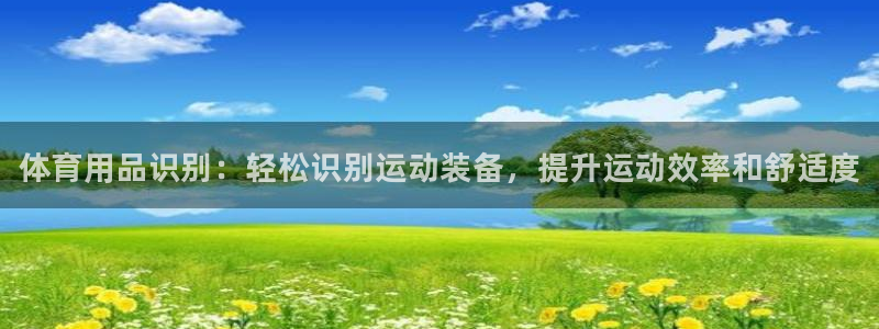 欧陆娱乐是正规平台吗安全吗可靠吗知乎：体育用品识别：轻松识别