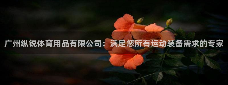 欧陆娱乐中国：广州纵锐体育用品有限公司：满足您所有运