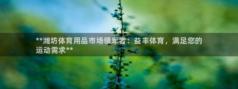 欧陆注册码：**潍坊体育用品市场领军者：益丰体育，满足您的
