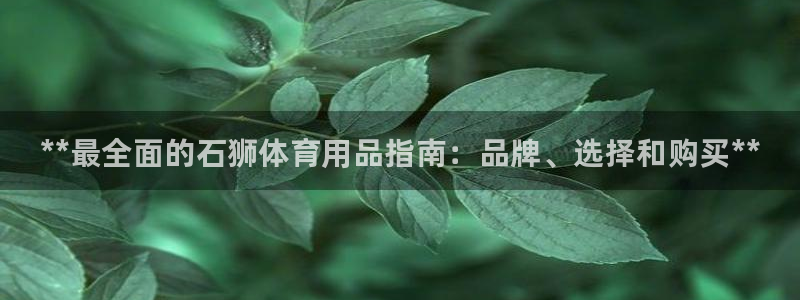欧陆娱乐平台官网下载：**最全面的石狮体育用品指南：品牌、选