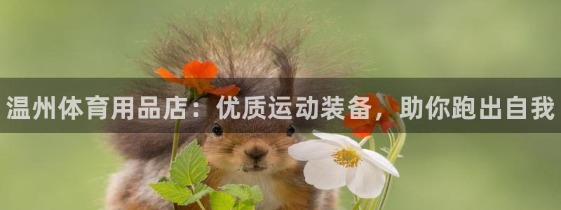 欧陆娱乐天富主管：温州体育用品店：优质运动装备，助你跑出自我