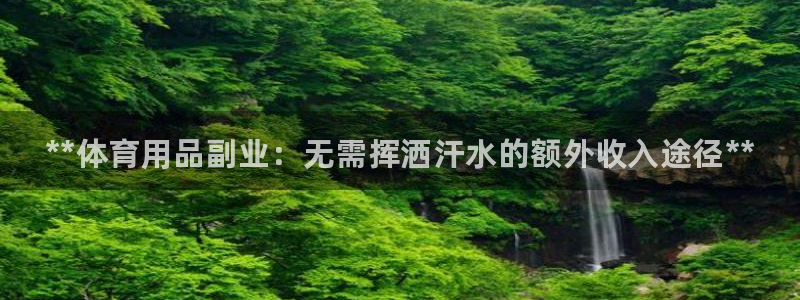 欧陆娱乐挂机项目怎么设置：**体育用品副业：无需挥洒汗水的额