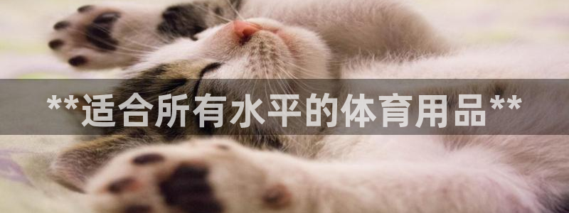 欧陆娱乐的故事